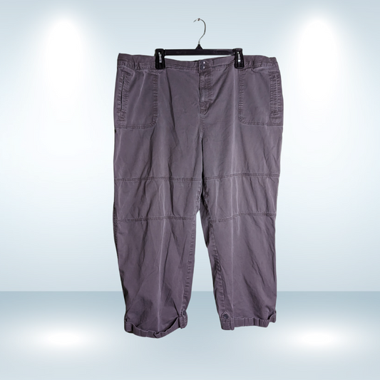 George Cotton Gray Capri - Size 24