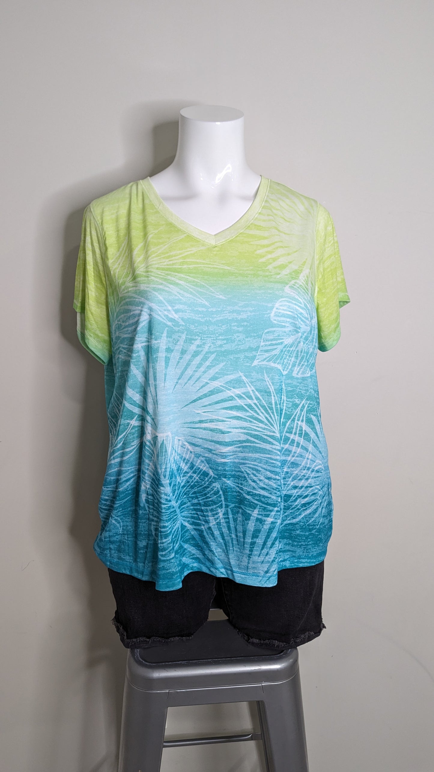 Thin Ombre Tee - Size 2X