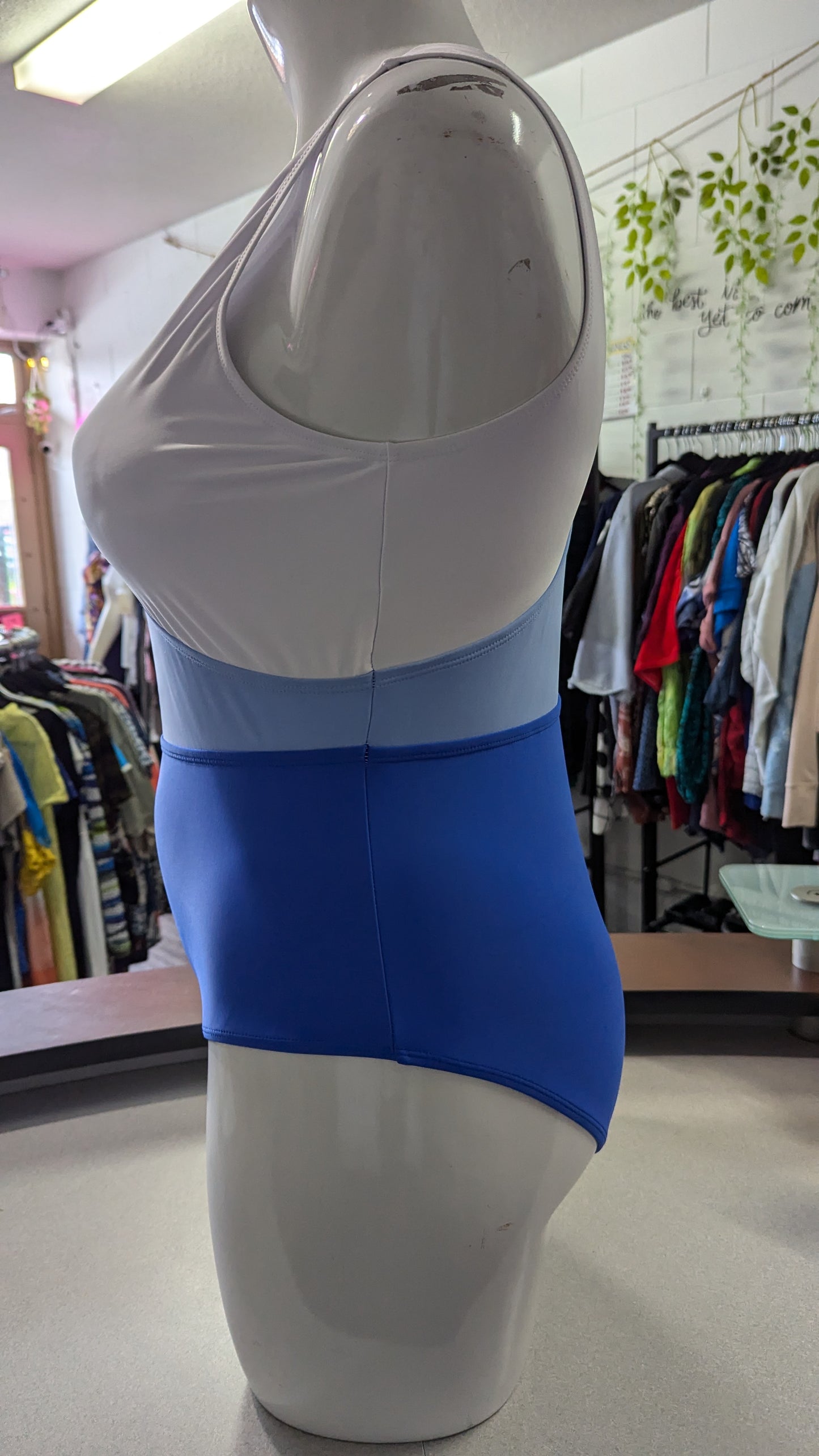 Meet Curve Blue & White One Piece Swimsuit - Size 2X